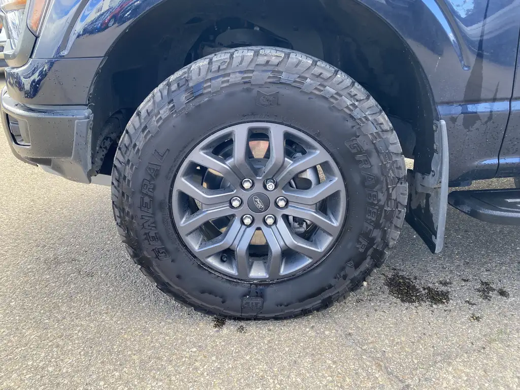 2025 Ford F-150 SuperCrew Tremor SuperCrew 145 | 4X4 | Rear Cam | Parking Se — photo 4