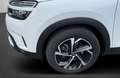 Citroen C5 Aircross PT 130 Business Shine Automatik Weiß - thumbnail 9