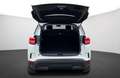 Citroen C5 Aircross PT 130 Business Shine Automatik Weiß - thumbnail 8