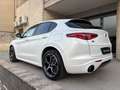 Alfa Romeo Stelvio 2.2 Turbodiesel 210 CV AT8 Q4 Veloce Bianco - thumbnail 7