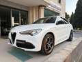 Alfa Romeo Stelvio 2.2 Turbodiesel 210 CV AT8 Q4 Veloce Bianco - thumbnail 1