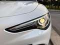 Alfa Romeo Stelvio 2.2 Turbodiesel 210 CV AT8 Q4 Veloce Bianco - thumbnail 37