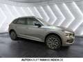 Skoda Kamiq 1.0 TSI DSG Tour ACC BLACK TOTWINKEL LED Grau - thumbnail 5