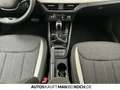 Skoda Kamiq 1.0 TSI DSG Tour ACC BLACK TOTWINKEL LED Grau - thumbnail 10