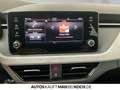 Skoda Kamiq 1.0 TSI DSG Tour ACC BLACK TOTWINKEL LED Grau - thumbnail 12