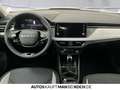 Skoda Kamiq 1.0 TSI DSG Tour ACC BLACK TOTWINKEL LED Grau - thumbnail 8