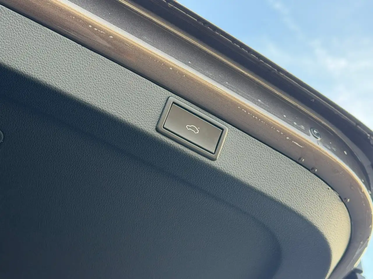 Skoda Octavia Combi First Edition*PANO*TEMP*ELEKTRSITZ, миниатюра 14