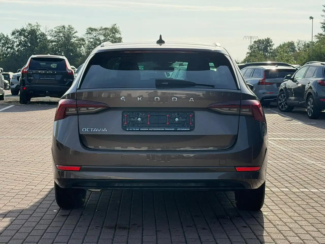 Skoda Octavia Combi First Edition*PANO*TEMP*ELEKTRSITZ, миниатюра 8