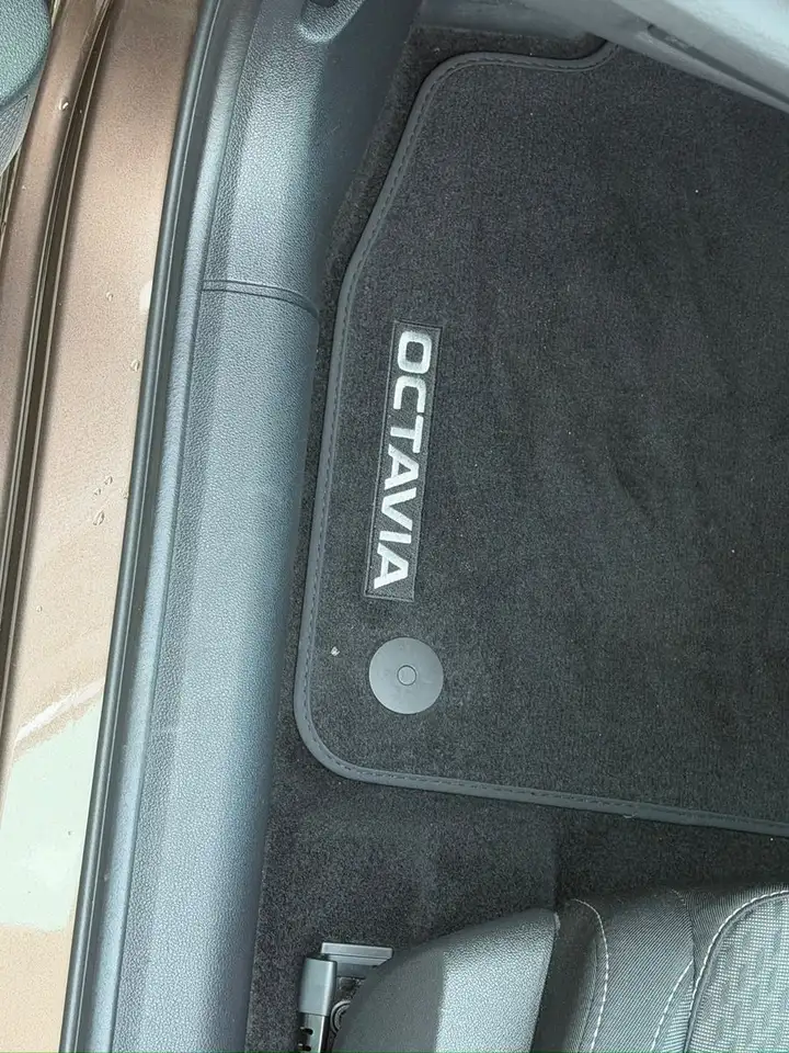 Skoda Octavia Combi First Edition*PANO*TEMP*ELEKTRSITZ, миниатюра 24