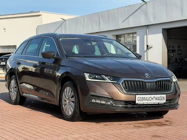 Skoda Octavia view 11
