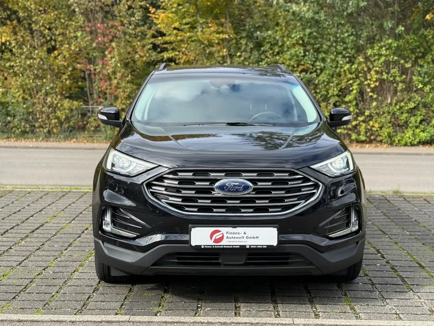 Ford Edge 2.0 EcoBlue Trend 4x4/LED/AHK/Kamera/Navi Schwarz - 2