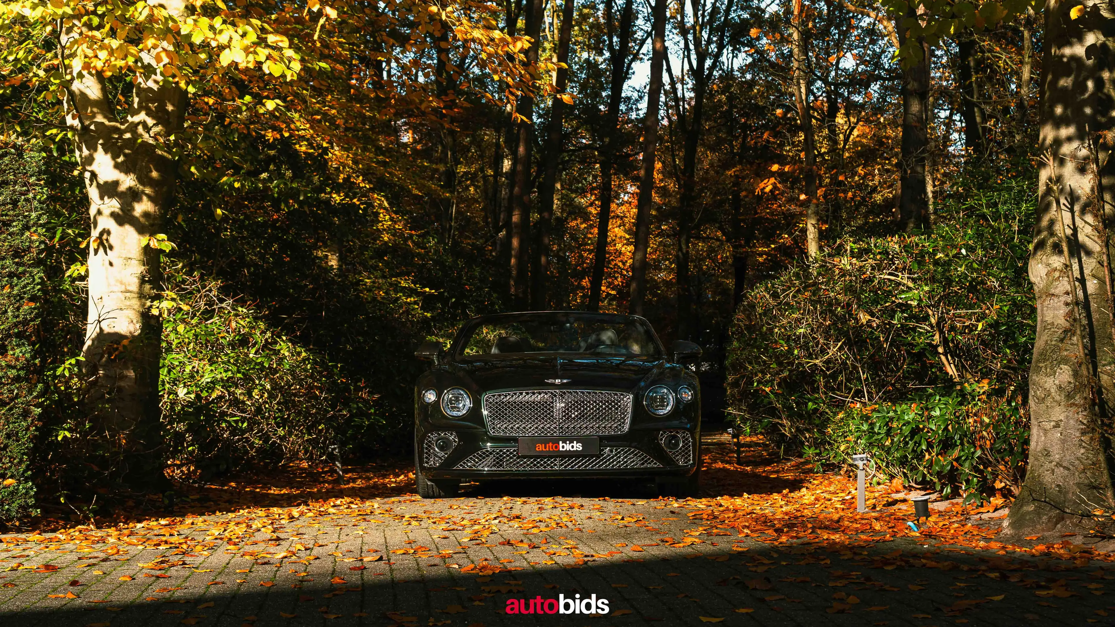 Bentley Continental New Continental GT Convertible V8 — photo 3