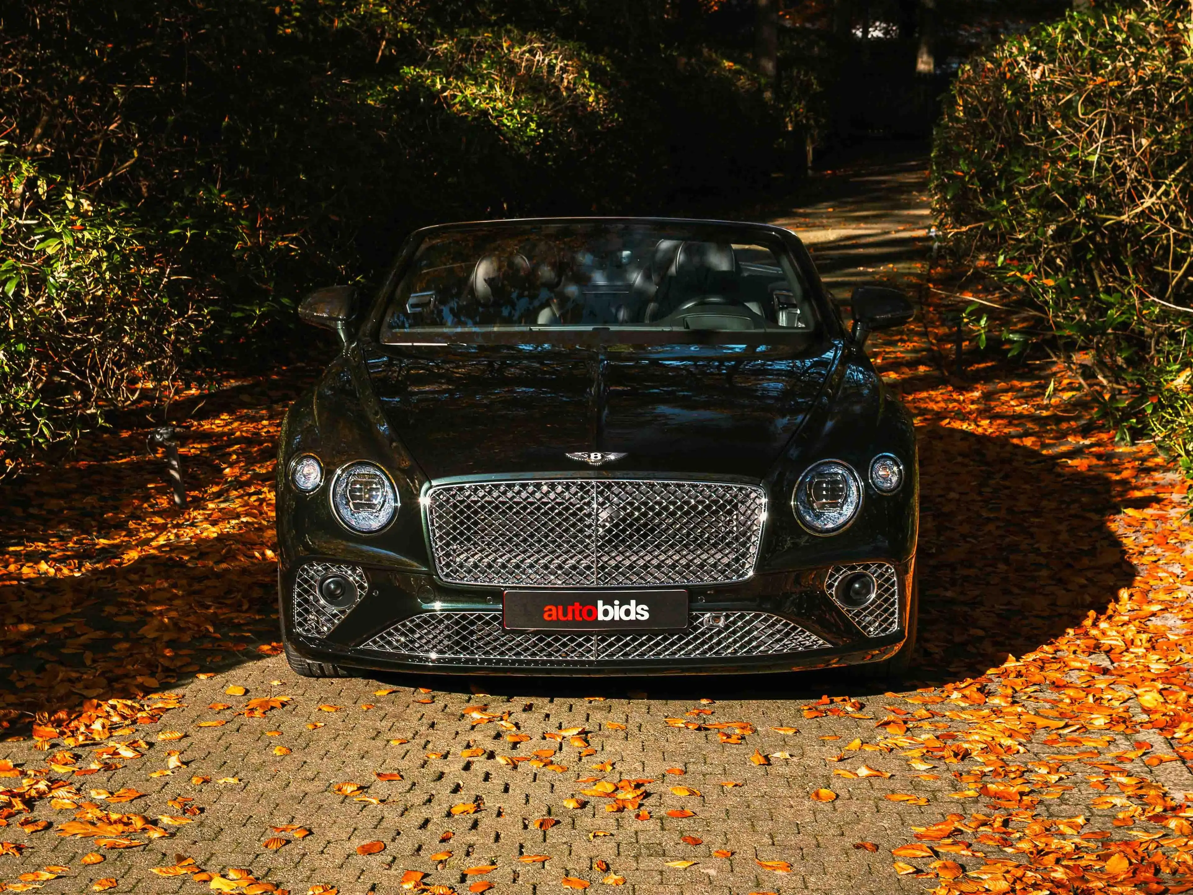 Bentley Continental New Continental GT Convertible V8 — photo 2