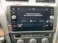 Volkswagen Golf TDI SCR Weiß - thumbnail 15
