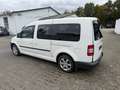 Volkswagen Caddy 2.0 TDI DSG Rollstuhltransport Weiß - thumbnail 4