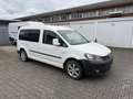 Volkswagen Caddy 2.0 TDI DSG Rollstuhltransport Weiß - thumbnail 2