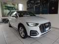 Audi Q5 35 TDI S tronic Business Wit - thumbnail 1