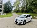 SEAT Leon Leon 1.6 CR TDi Ecomotive Ecosport Blanc - thumbnail 9