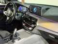 BMW 530 Diesel (G30)  Aut. / M Sportpaket / Schiebedach / Grau - thumbnail 29