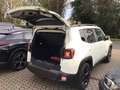 Jeep Renegade Longitude FWD Blanc - thumbnail 8