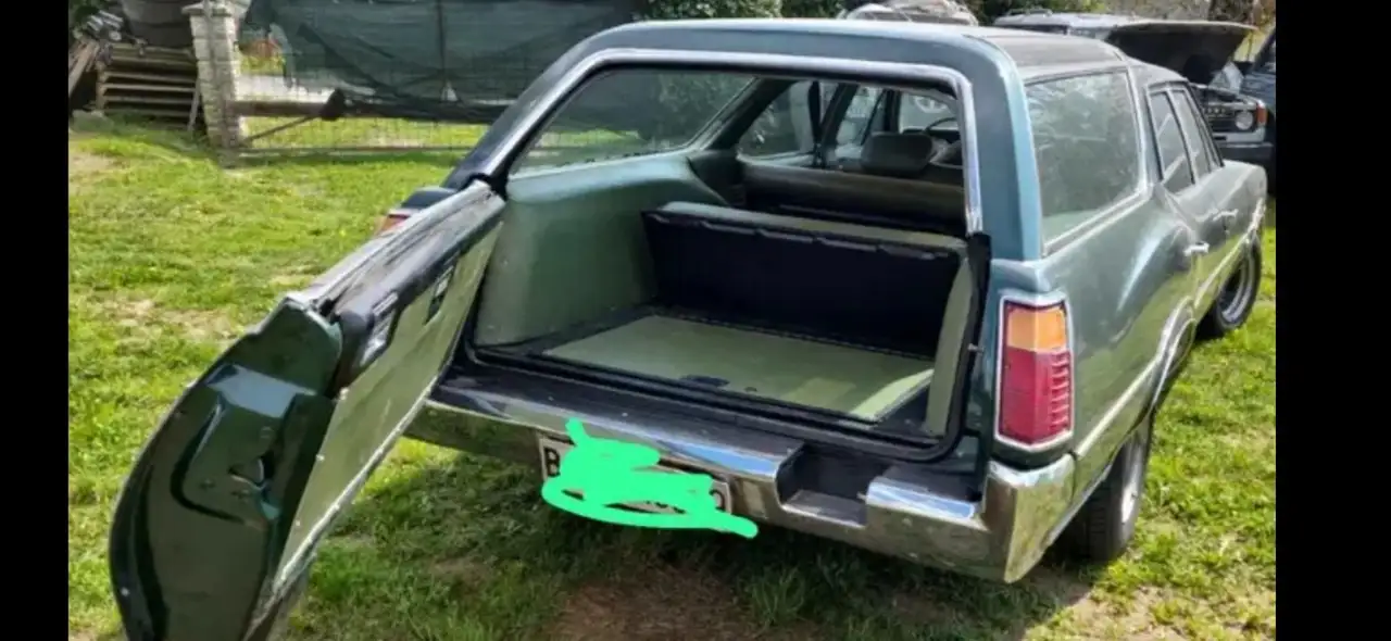Oldsmobile Vista Cruiser, foto 6