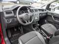 Volkswagen Caddy Kasten 1.0 TSI EcoProfi  KLIMA Rot - thumbnail 6