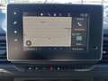 Renault Kastenwagen L1H1 3,0t Blue dCi 110 6E Weiß - thumbnail 10