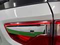 Ford EcoSport EcoSport 1.5 tdci Titanium 95cv E6 Argento - thumbnail 14