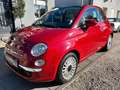 Fiat 500 1.2/58TKM//PANO/KLIMA/MFL/ALLWETTER/ Rot - thumbnail 5