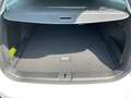 Volkswagen Passat Variant 2.0 TDI DSG Business *AHK*360°*ACC* Weiß - thumbnail 16