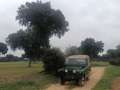 Land Rover Series Serie 2A 88 Verde - thumbnail 8