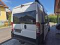 Fiat Ducato Ducato GR-Panorama 33 L2H2 2,3 JTD 120 GR-Panorama Weiß - thumbnail 5