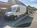 Fiat Ducato Ducato GR-Panorama 33 L2H2 2,3 JTD 120 GR-Panorama Weiß - thumbnail 18