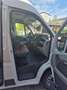 Fiat Ducato Ducato GR-Panorama 33 L2H2 2,3 JTD 120 GR-Panorama Weiß - thumbnail 42