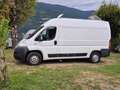 Fiat Ducato Ducato GR-Panorama 33 L2H2 2,3 JTD 120 GR-Panorama Weiß - thumbnail 25