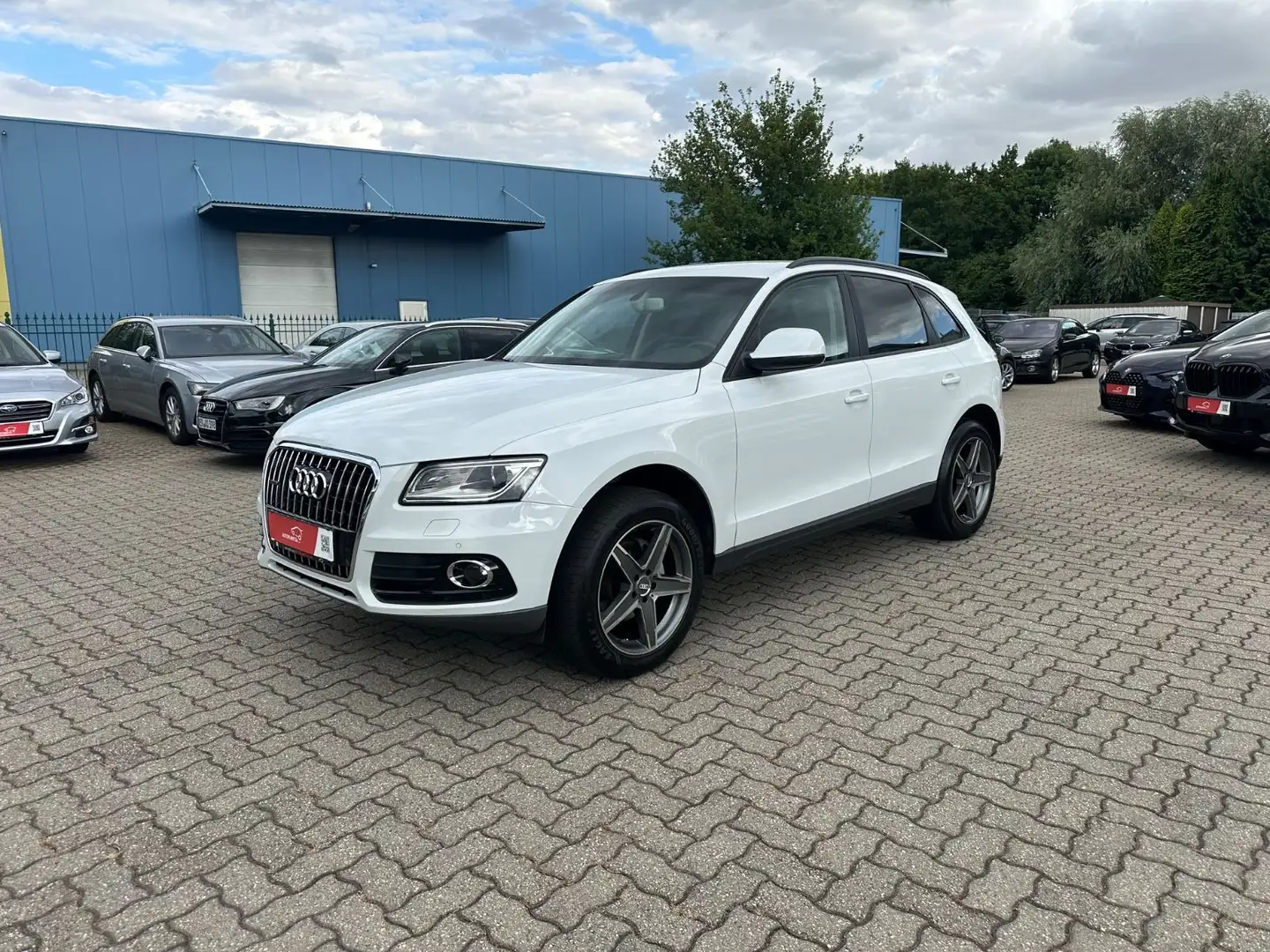 Audi Q5 2.0 TFSI quattro Bi-Xen Navi Leder Temp AHK Weiß - 1