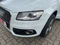 Audi Q5 2.0 TFSI quattro Bi-Xen Navi Leder Temp AHK Weiß - thumbnail 9