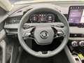 Skoda Superb Combi 2.0 TDI DSG Selection Grau - thumbnail 10