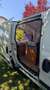 Fiat Doblo Doblo 1,4 moltoPop moltoPop Weiß - thumbnail 6