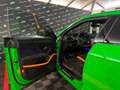 Lamborghini Urus 4.0 V8 Performante Akrapovic*Carbon*Tetto Vert - thumbnail 9