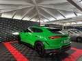 Lamborghini Urus 4.0 V8 Performante Akrapovic*Carbon*Tetto Vert - thumbnail 6