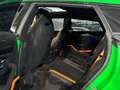 Lamborghini Urus 4.0 V8 Performante Akrapovic*Carbon*Tetto Vert - thumbnail 12