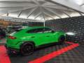 Lamborghini Urus 4.0 V8 Performante Akrapovic*Carbon*Tetto Vert - thumbnail 8