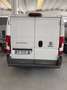 Fiat Ducato - thumbnail 4