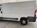 Fiat Ducato - thumbnail 2