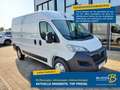 Opel Movano Cargo 2.2 Diesel L2H2 verstärkt / Kamera bijela - thumbnail 1