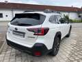 Subaru OUTBACK 2.5i Exclusive Cross *Hausmesse* Белый - thumbnail 8