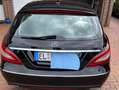 Mercedes-Benz CLS 250 CLS Shooting Brake 250 (BT) d 4Matic 7G-TRONIC Schwarz - thumbnail 2