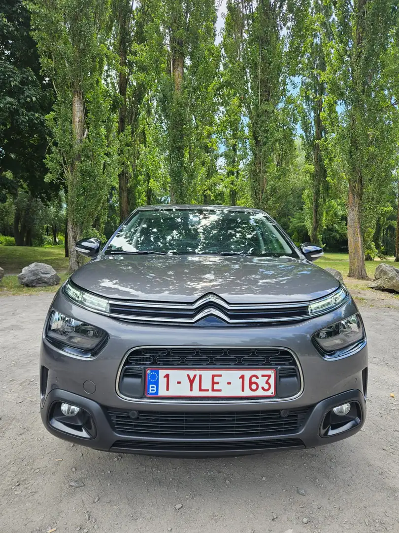 Citroen C4 Cactus PureTech 110 S&S BVM6 Shine - 1