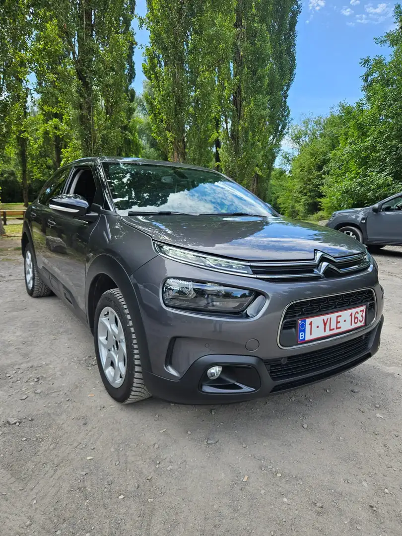 Citroen C4 Cactus PureTech 110 S&S BVM6 Shine - 2